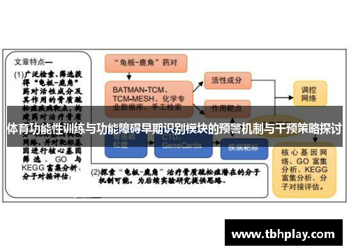 体育功能性训练与功能障碍早期识别模块的预警机制与干预策略探讨